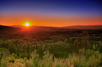 Картинка природа восходы закаты закат пейзаж деревья