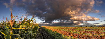 Картинка природа поля облака поле