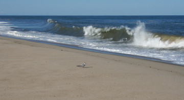 Картинка природа побережье волны песок