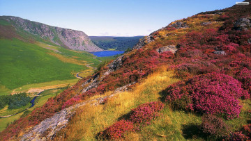 Картинка beautiful landscape природа горы цветы река долина