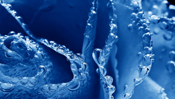 Картинка разное капли брызги всплески вода пузырки