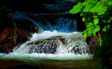 обоя hidden, waterfalls, природа, водопады, ветки, водопад, река