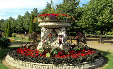 Картинка природа парк цветы клумба
