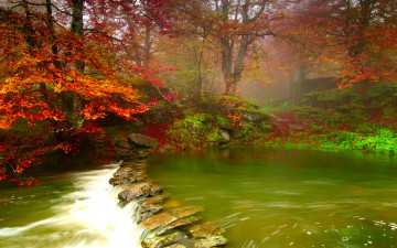 Картинка misty forest river природа реки озера река лес осень