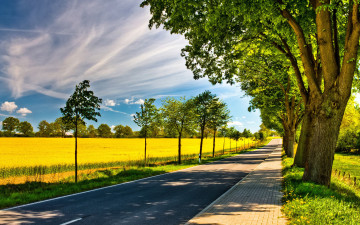 Картинка природа дороги тротуар поле деревья