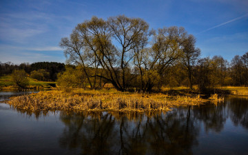Картинка природа реки озера река небо деревья
