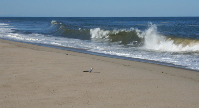 Обои картинки фото природа, побережье, волны, песок