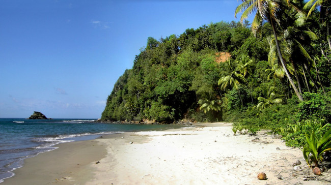 Обои картинки фото природа, побережье, вода, тропики, остров, океан, пальмы, песок, орехи, жара