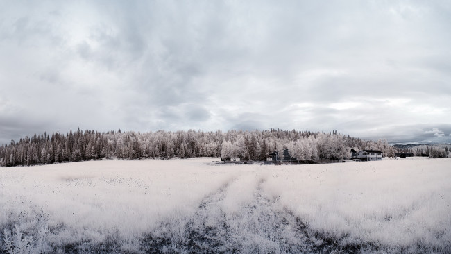 Обои картинки фото природа, зима, иней, лес, поле, облака