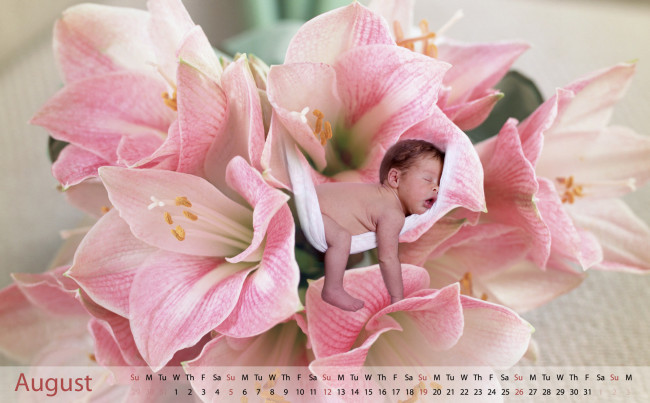 Обои картинки фото календари, дети, амариллис, младенец