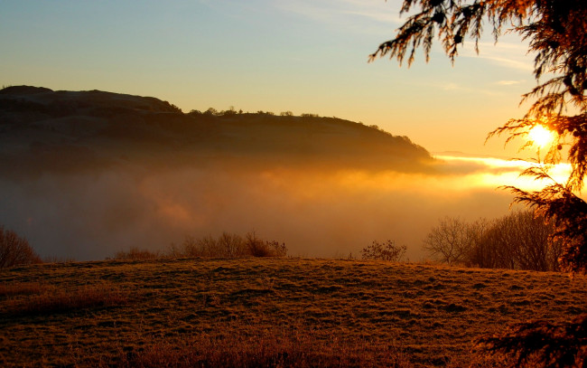 Обои картинки фото foggy, sunrise, природа, восходы, закаты