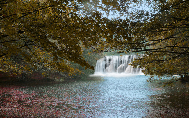 Обои картинки фото hidden, falls, природа, водопады, деревья, водопад, река