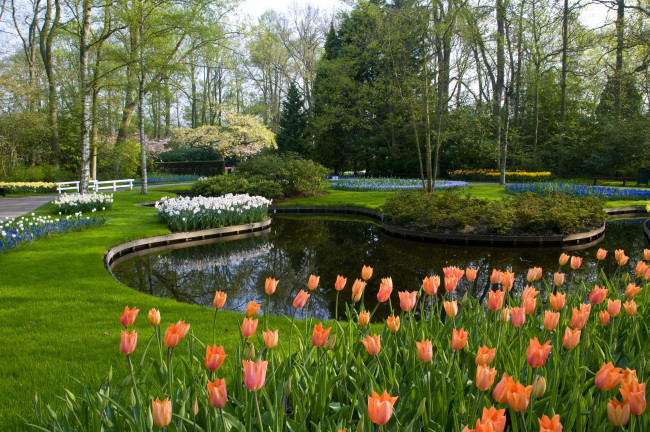 Обои картинки фото природа, парк, национальный, keukenhof, lisse, netherlands