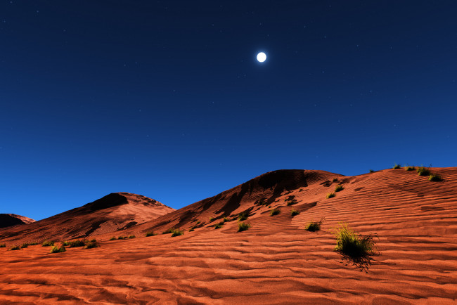 Обои картинки фото the, desert, природа, пустыни, песок, пустыня, дюны, трава