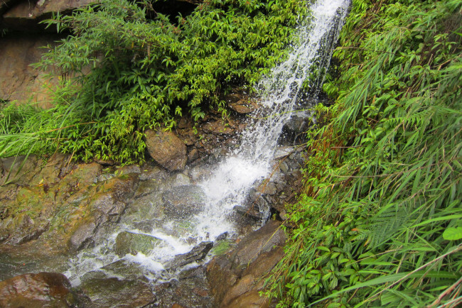 Обои картинки фото waterfalls, природа, водопады, растительность, камни, водопад