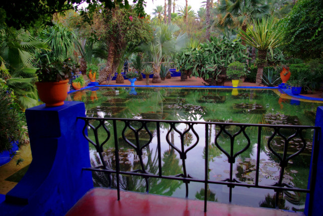 Обои картинки фото morocco, marrakech, jardin, majorelle, природа, парк, сад, император