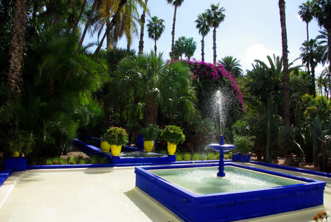 Обои картинки фото morocco, marrakech, jardin, majorelle, природа, парк, фонтан, пальмы, кактусы
