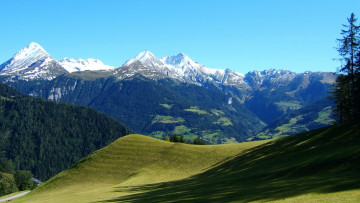 Картинка австрийские альпы природа горы деревья