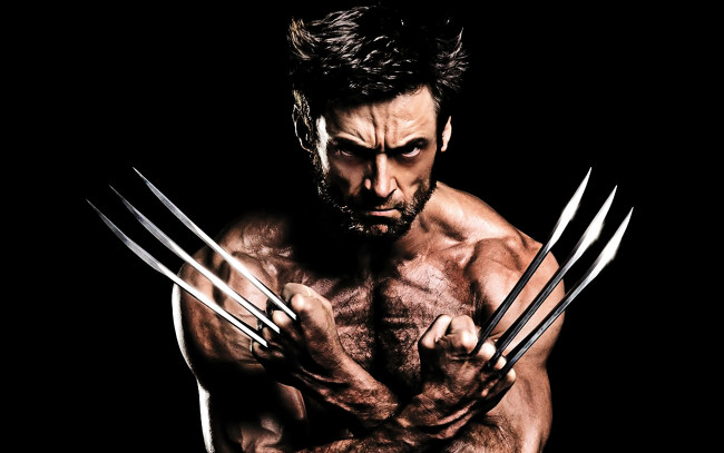 Обои картинки фото the, wolverine, кино, фильмы, росомаха