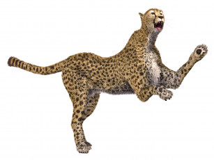 Картинка 3д+графика животные+ animals гепард