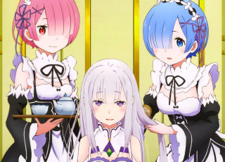 Картинка аниме re +zero+kara+hajimeru+isekai+seikatsu девушки