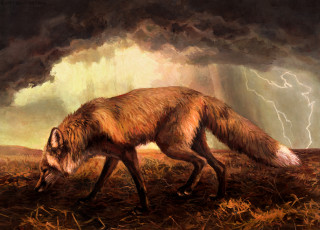 Картинка рисованное животные +лисы трава тучи молния