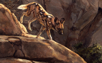 Картинка рисованное животные спуск растения камни