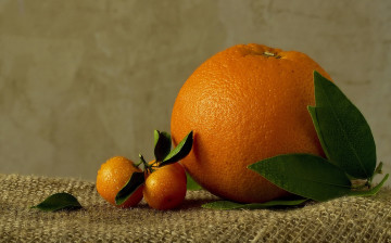 обоя еда, цитрусы, листья, цитрус, апельсин