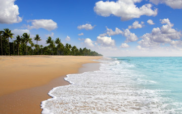 Картинка природа тропики море облака пальмы