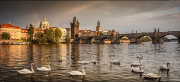 Картинка города прага+ Чехия влтава мост карлов