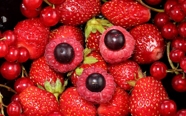 Обои картинки фото еда, фрукты,  ягоды, клубника, малина, смородина