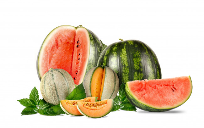 Обои картинки фото еда, фрукты,  ягоды, листья, белый, фон, арбузы, дыни