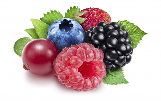 Обои картинки фото еда, фрукты,  ягоды, листья, крупный, план, малина, черника, клубника, ягода, белый, фон, смородина, ежевика