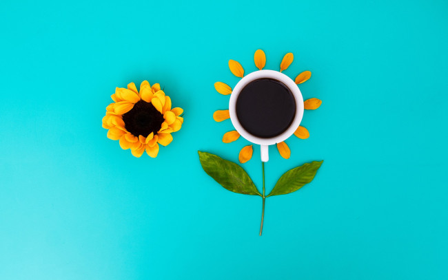 Обои картинки фото еда, кофе,  кофейные зёрна, цветок, чашка