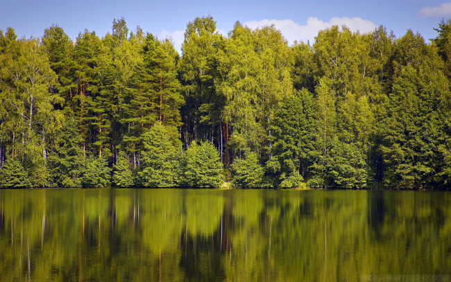 Обои картинки фото природа, реки, озера, река, лес, деревья