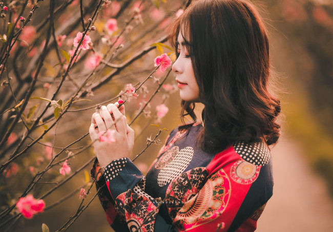Обои картинки фото девушки, - азиатки, азиатка, цветущее, дерево