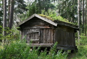 Картинка разное сооружения постройки трава дом лес