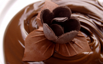 Картинка еда конфеты шоколад сладости коричневый фон шоколадный цветок
