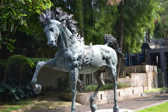 Картинка города памятники скульптуры арт объекты лошадь