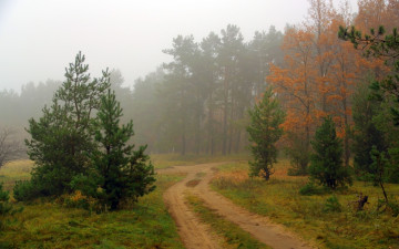 обоя природа, дороги, лес, дорога, туман