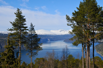 Картинка природа реки озера норвегия фьорд горы деревья