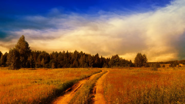 Картинка природа дороги трава дорога лес поле