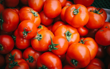 Картинка еда помидоры томаты красные овощи много