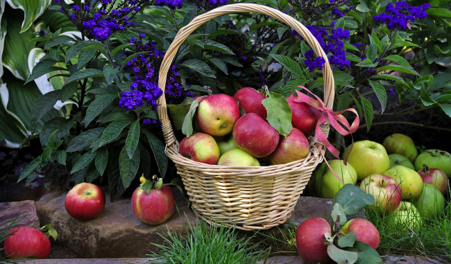 Обои картинки фото еда, Яблоки, корзинка, фрукты, яблоки, цветы