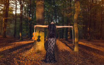 Картинка музыка -+другое девушка листва деревья скрипка
