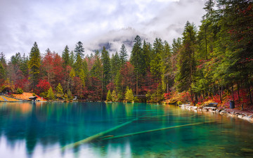 Картинка природа реки озера озеро деревья вода осень