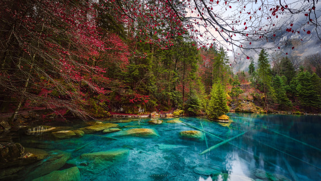 Обои картинки фото природа, реки, озера, деревья, вода, лес, осень, озеро