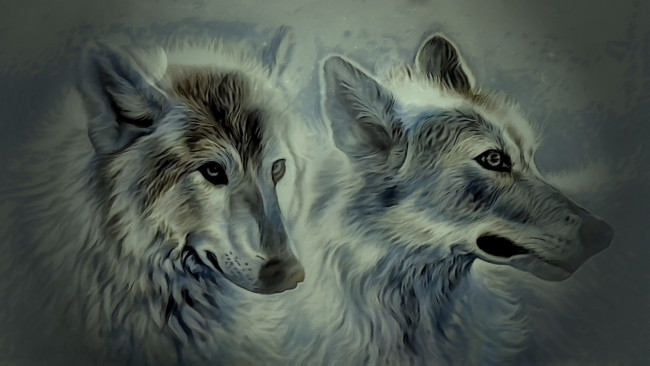Обои картинки фото рисованное, животные,  волки, волки, фон, взгляд