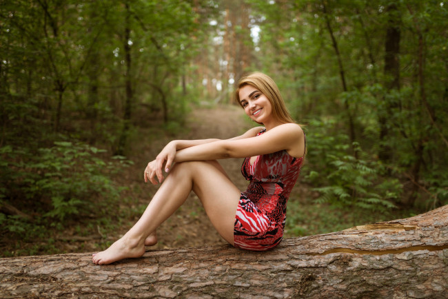 Обои картинки фото девушки, -unsort , блондинки,  светловолосые, лес, бревно, платье