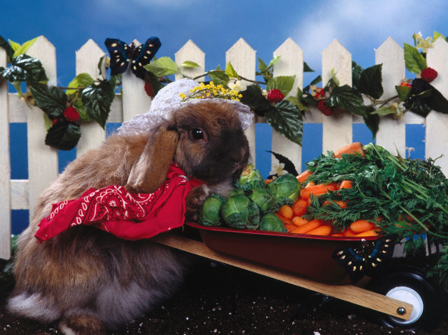 Обои картинки фото green, thumb, животные, кролики, зайцы